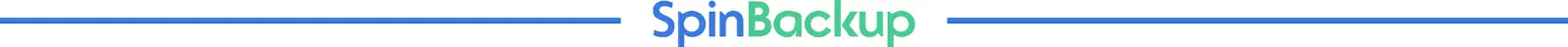 SpinBackup | Spin.AI Spin backup center aligned logo with blue line break.