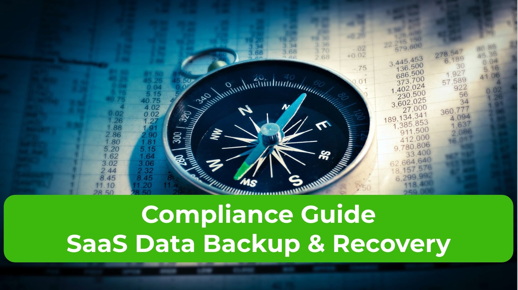 Compliance Guide SaaS Data Backup & Recovery