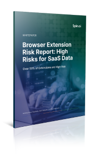 browser extension risk report