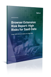 browser extension risk report