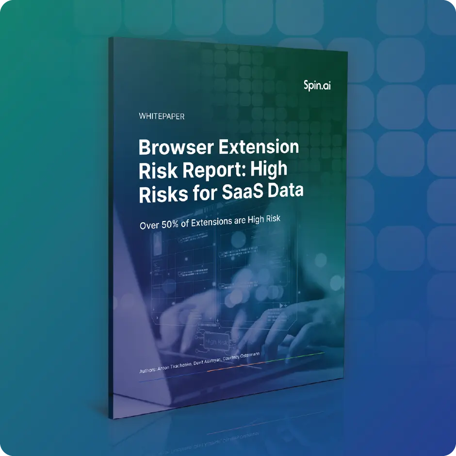 Browser Extension Risk Report