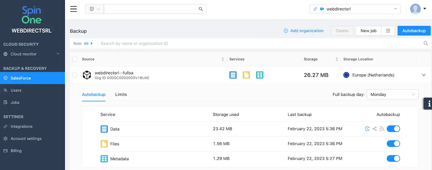 Salesforce Data Export Options: Third-party backup