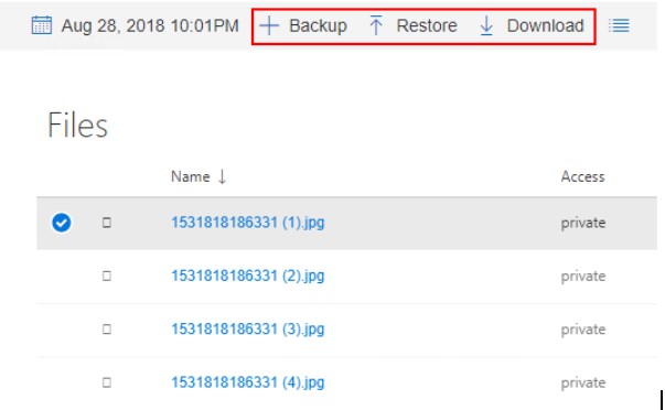 Spinbackup adds the ability to Backup, Restore, and Download in Microsoft Office 365 applications