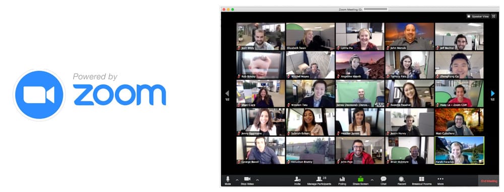 Online collaboration tool: Zoom