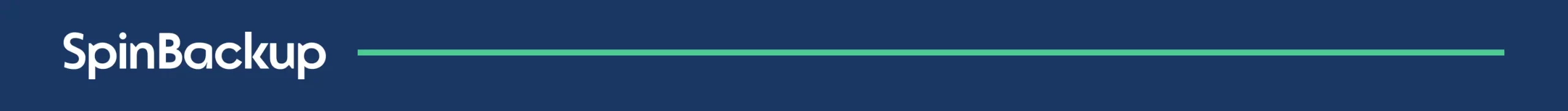 Line break - Logo SpinBackup4